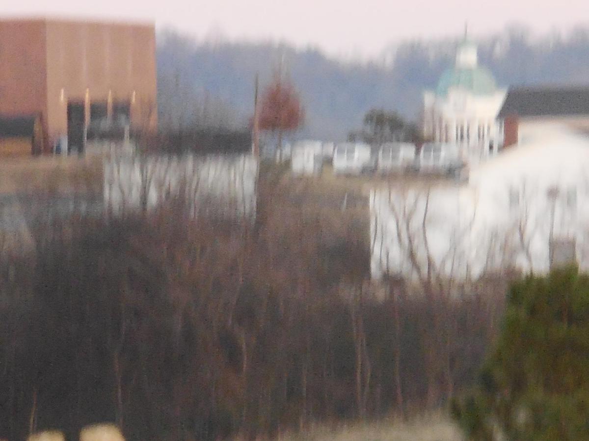 Giles Hotel Inn And Suites Pulaski Экстерьер фото